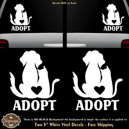 Adopt dog cat two - dog,