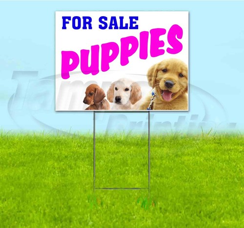 Puppies for sale - 18x24, yard